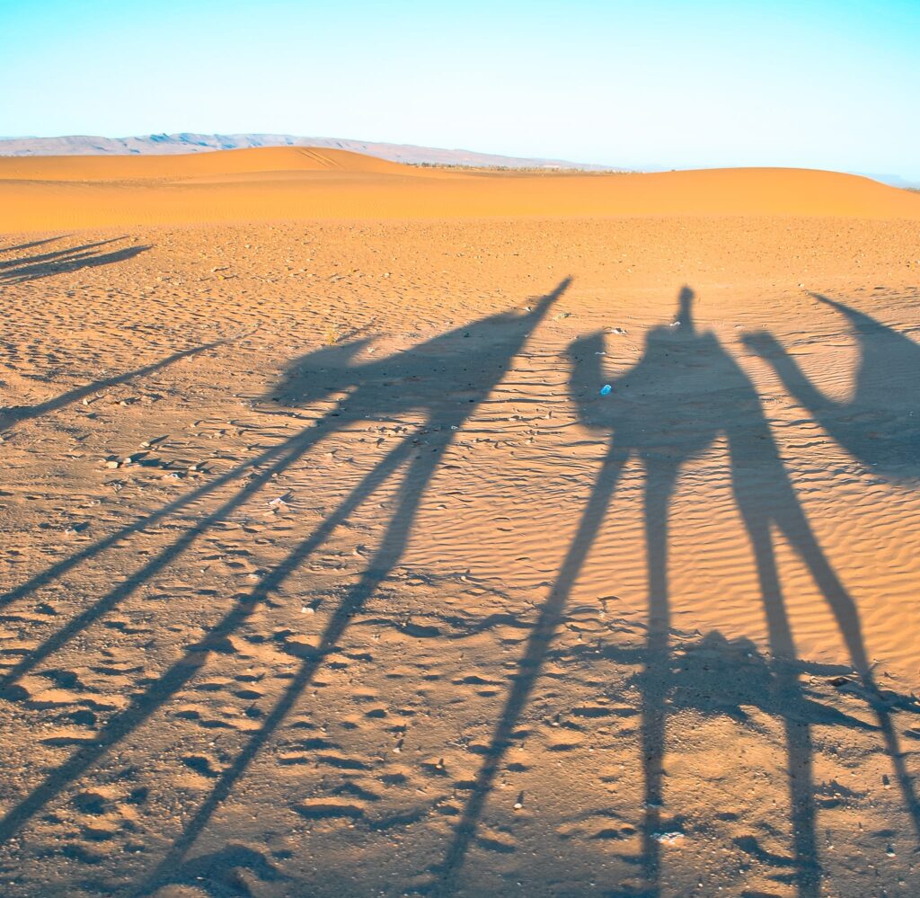 Camel ride in the desert, Morocco