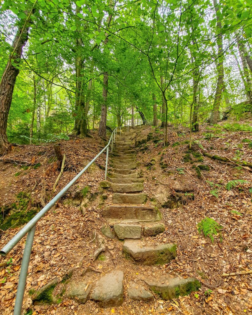 Hiking trail Saxon Switzerland Hiking trail with stone stairway in Saxon Switzerland