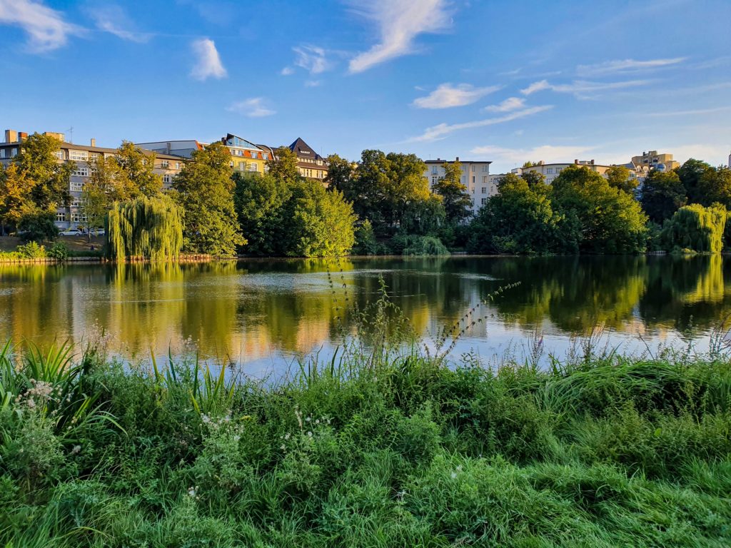 Living in Berlin - green spaces