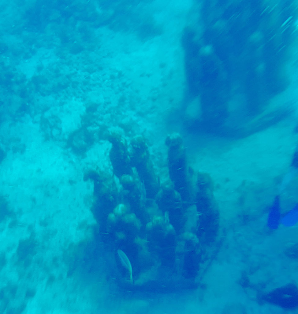 Underwater Museum of Art