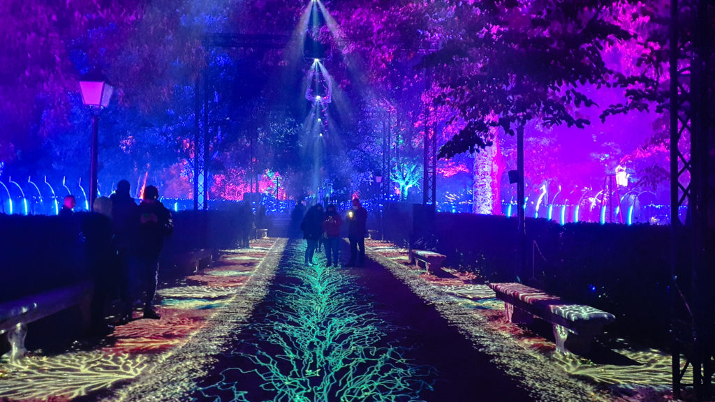 Naturaleza Encendida, Madrid