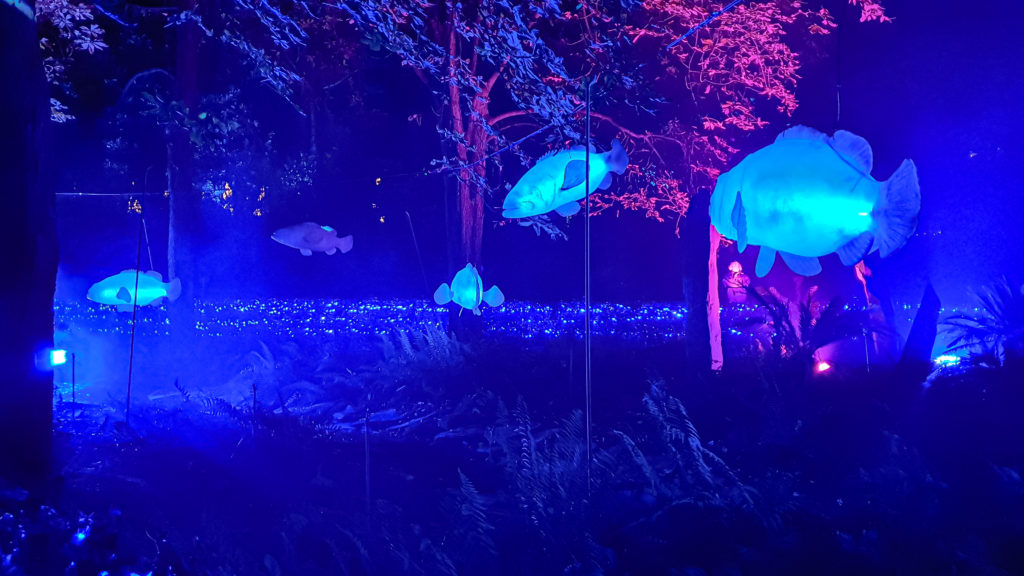 Ocean-themed decorations