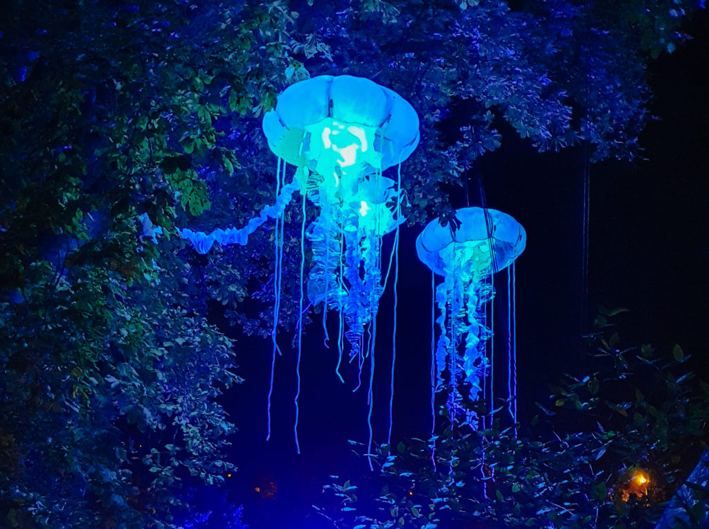Lit Jellyfish - Madrid Naturaleza Encendida