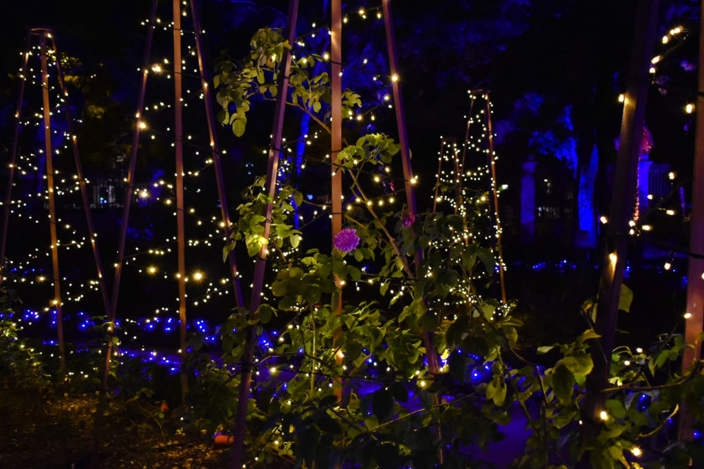 Madrid Christmas activity