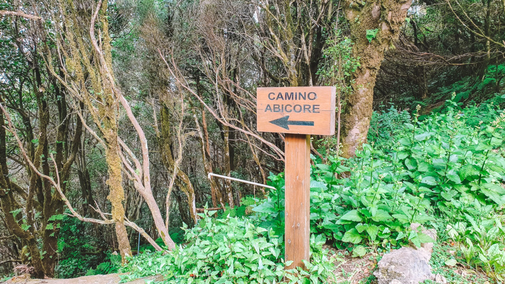 Camino Abicore, Tenerife