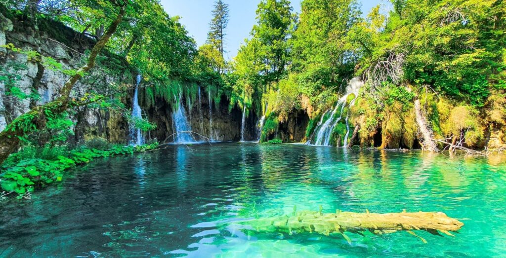 A lake with crystalline waters and a tree trunk jutting from the transparent depths with low waterfalls in the back and greenery all around - Plitvice Lakes in Croatia