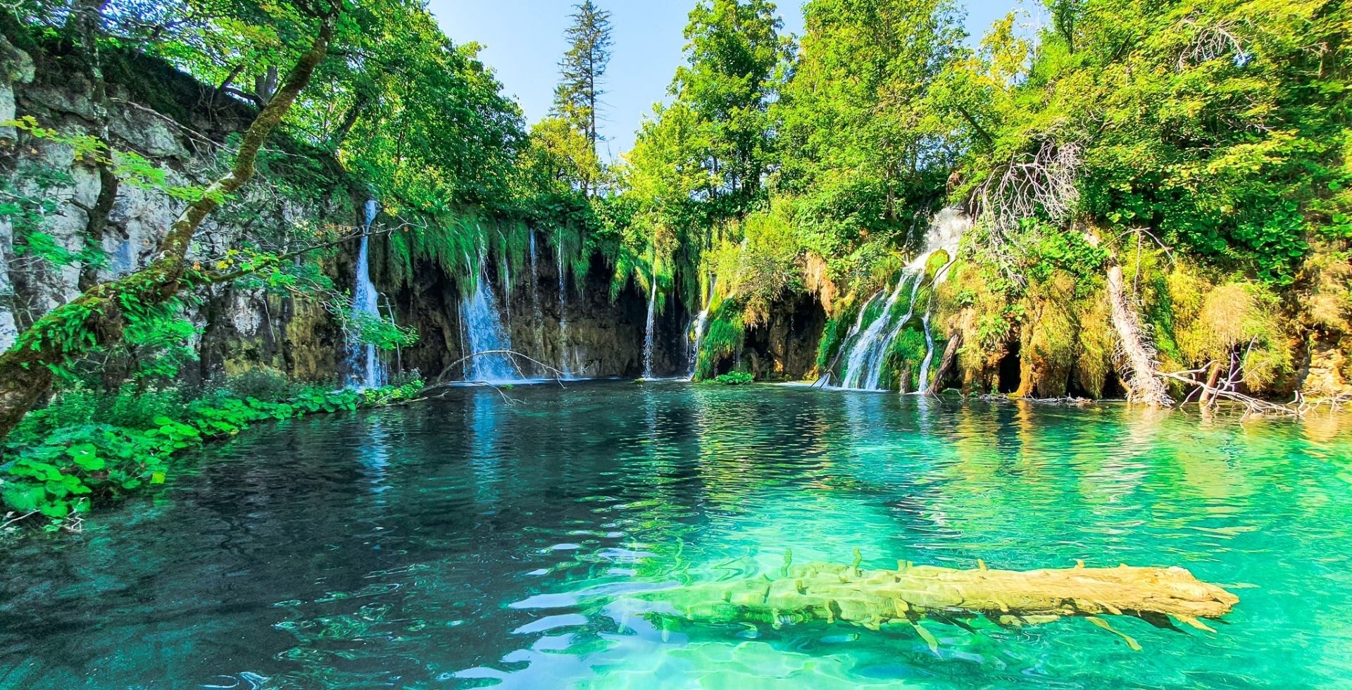A lake with crystalline waters and a tree trunk jutting from the transparent depths with low waterfalls in the back and greenery all around - Plitvice Lakes in Croatia