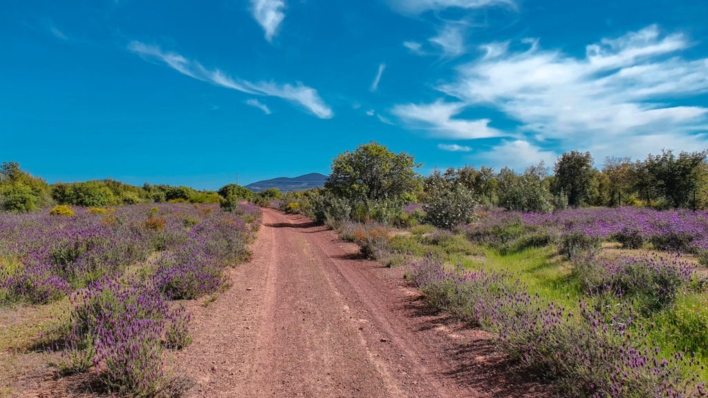 Via de la Plata - Merida to Salamanca