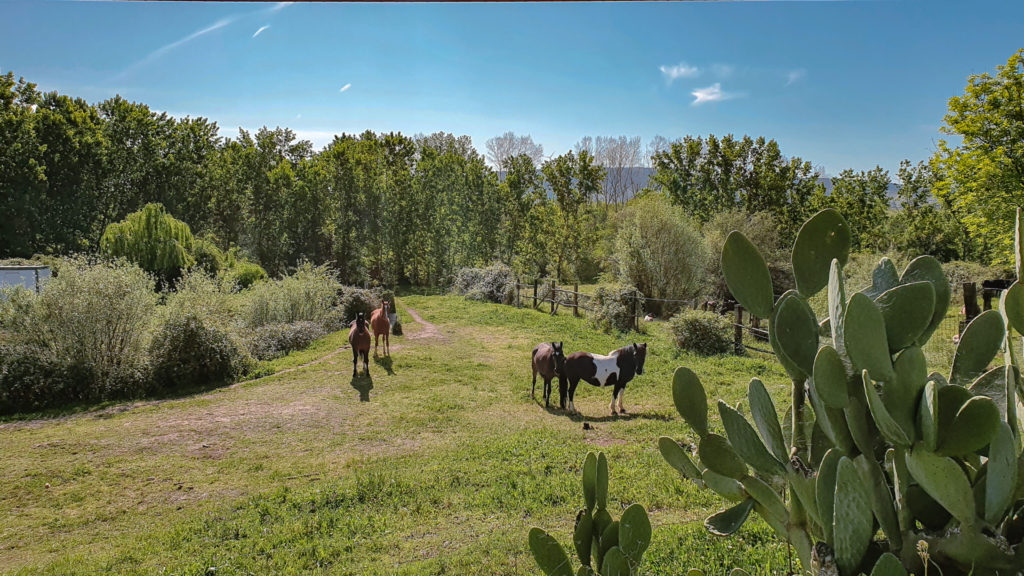 Walking Via de la Plata