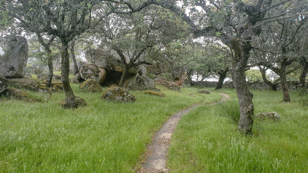 Via de la Plata from Merida