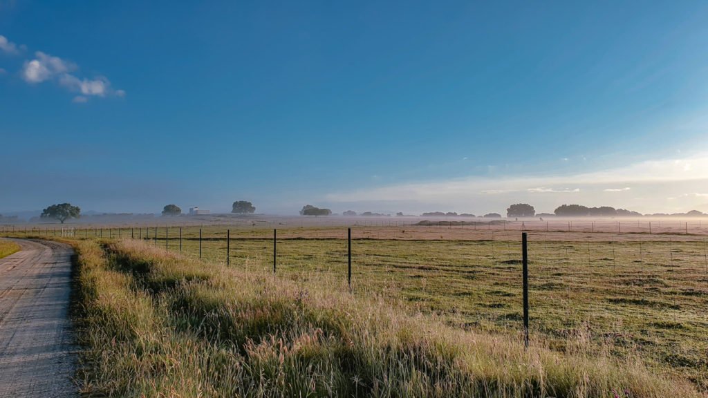Via de la Plata from Mérida to Salamanca