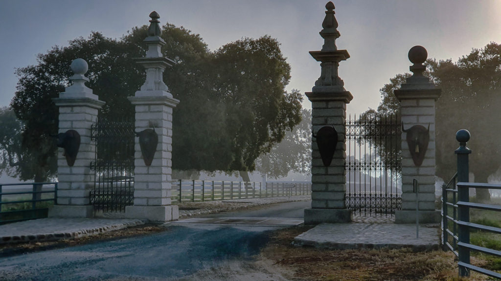 Ganado Bravo, Via de la plata