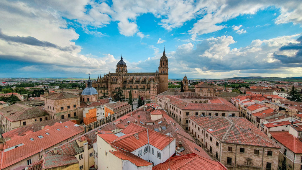 Panoramic view of the old town of Salamanca with the cathedral towering over the other buildings, Via de la Plata