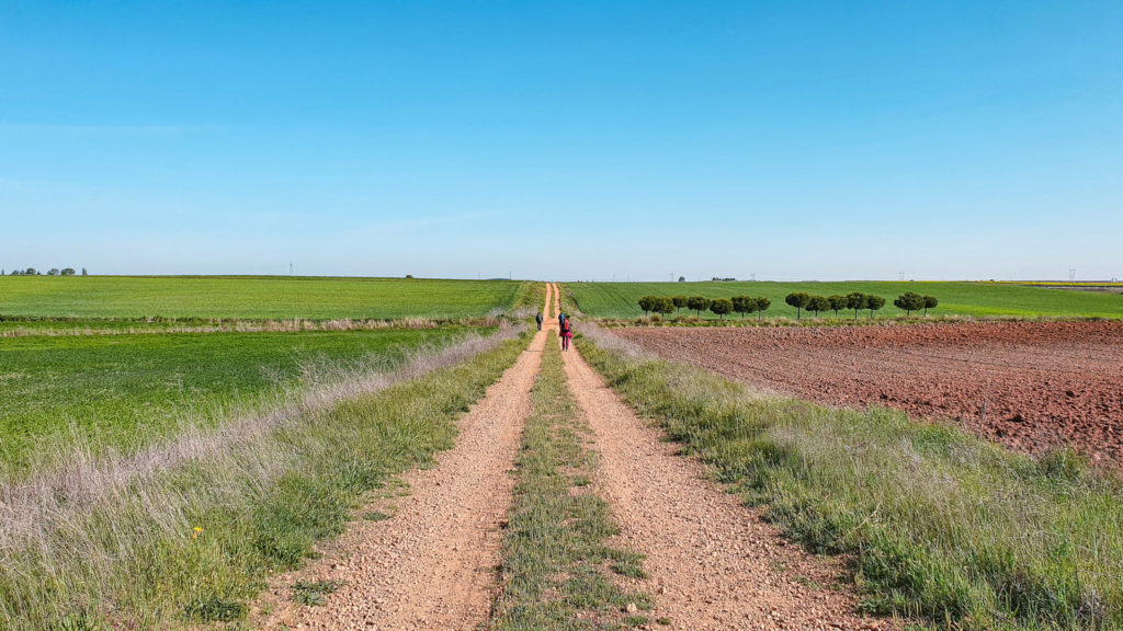 Via de la Plata Stages