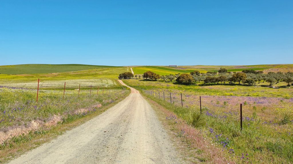 Landscape Via de la Plata