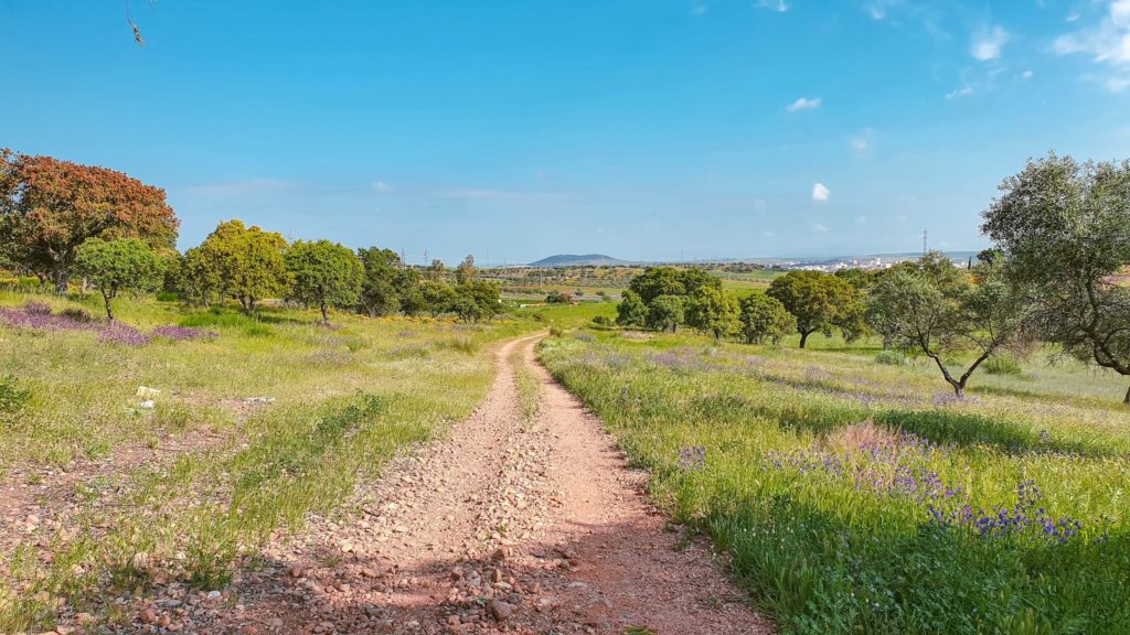 Torremejía to Mérida