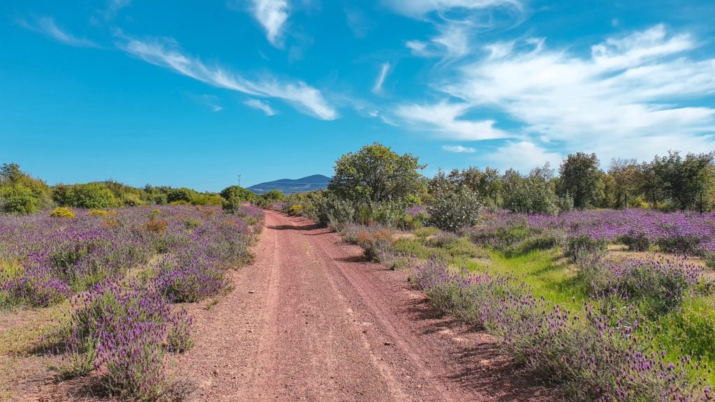 Mérida to Alcuéscar