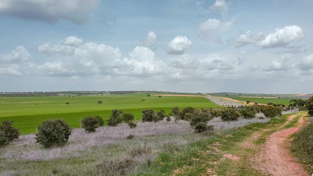 Fuenterroble de Salvatierra to San Pedro de Rozados
