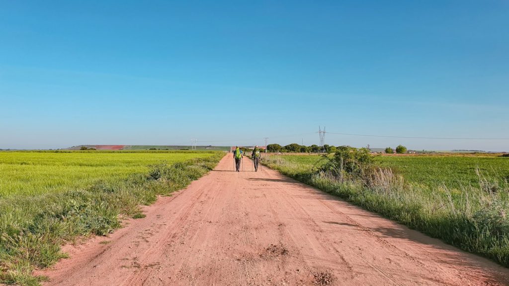 Zamora to Montamarta