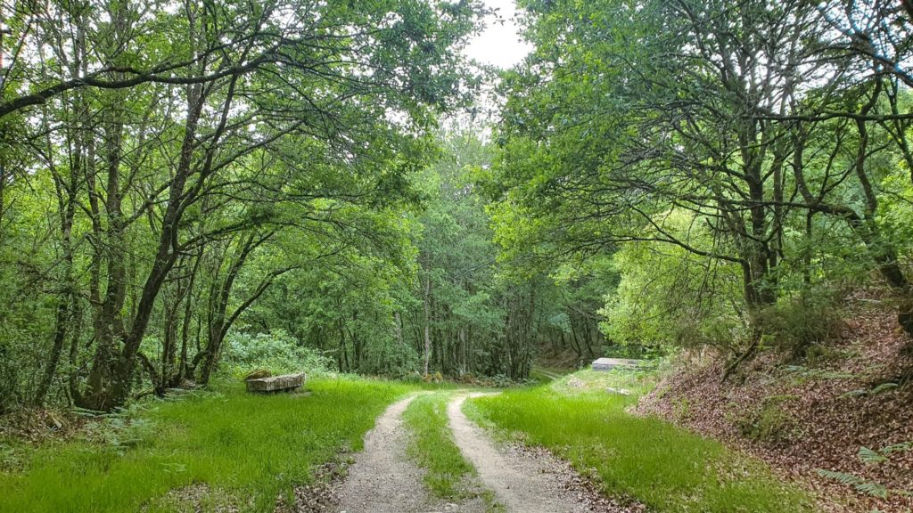 Vilar de Barrio to Ourense