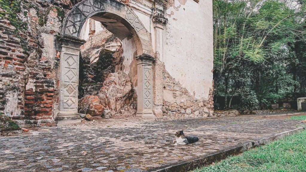 An arch opening onto the ruins of a temple in Antigua Guatemala, a cat lying on the ground in front of it