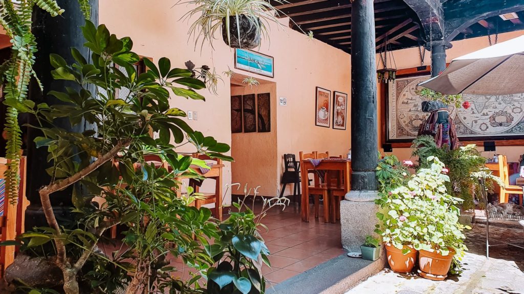A charming cafe with many plants and wooden tables and chairs in Antigua Guatemala