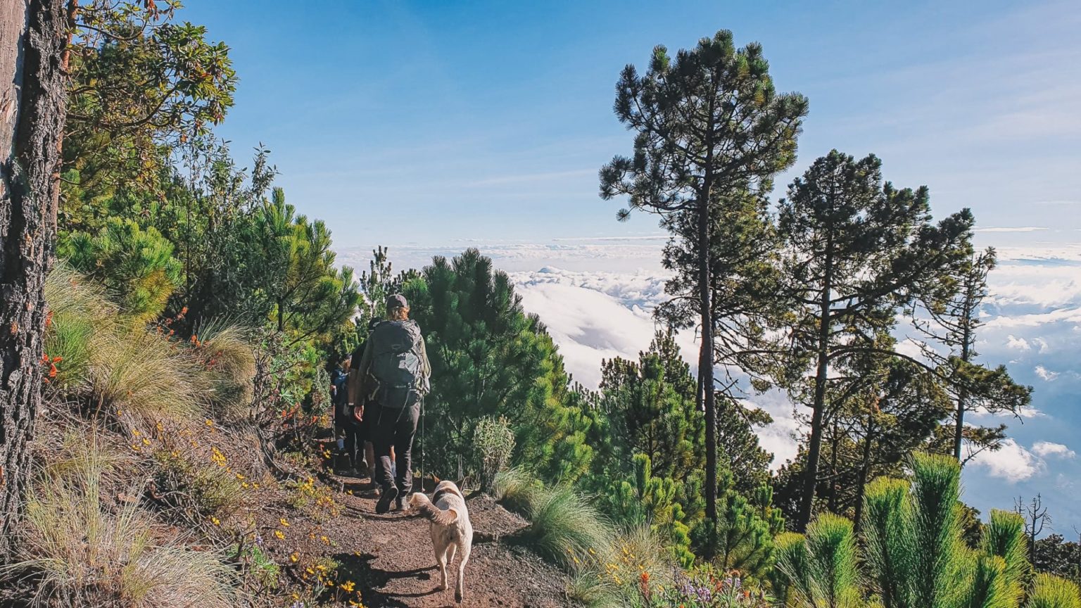 Acatenango Overnight Hike: Guatemala’s Hardest And Most Spectacular ...