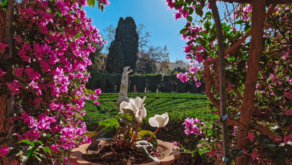 Jardí de Montfort Jardí de Montfort, Valencia free things to do