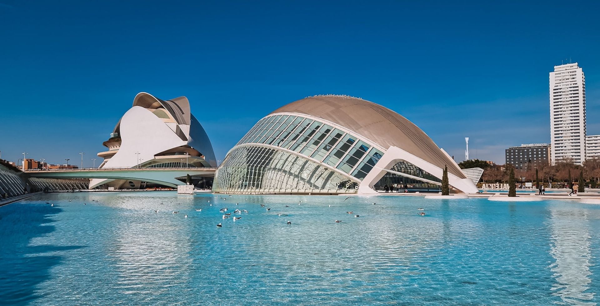 Valencia's City of Arts and Sciences with glass-domed buildings and white curved structures beside a blue reflecting pool, under a clear sky.