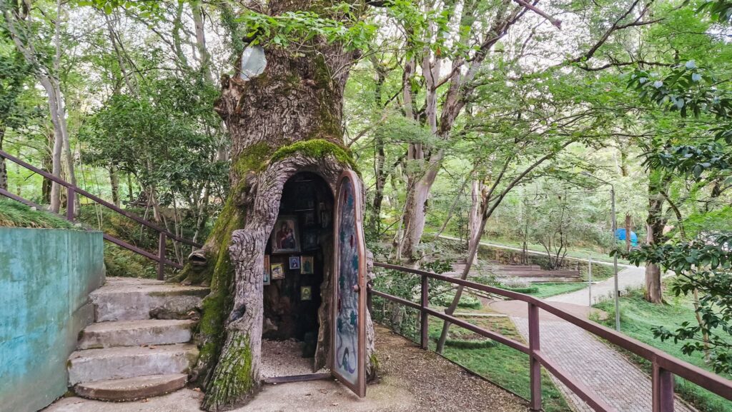 Kutaisi Botanical Garden