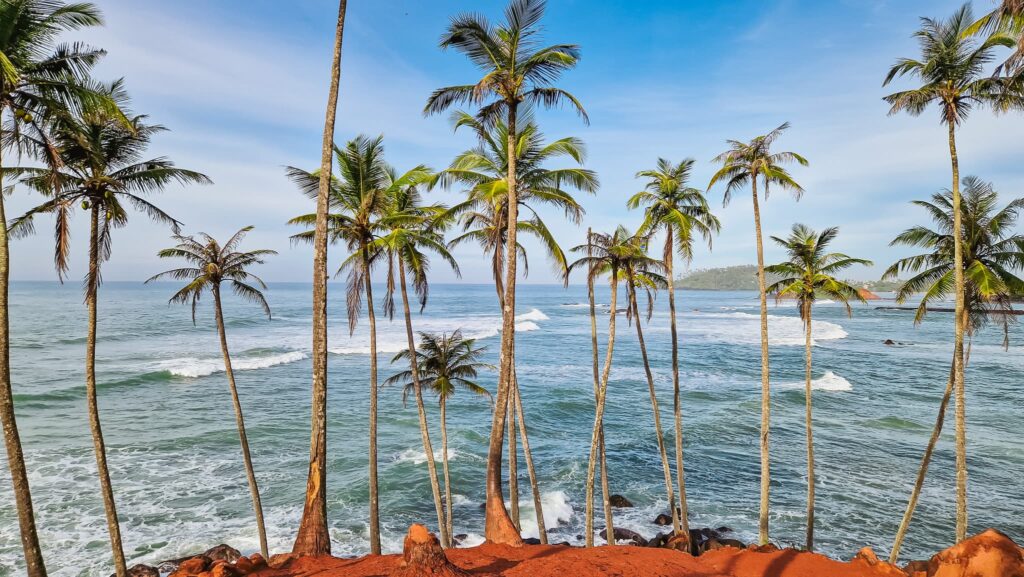 Coconut Tree Hill, Mirissa