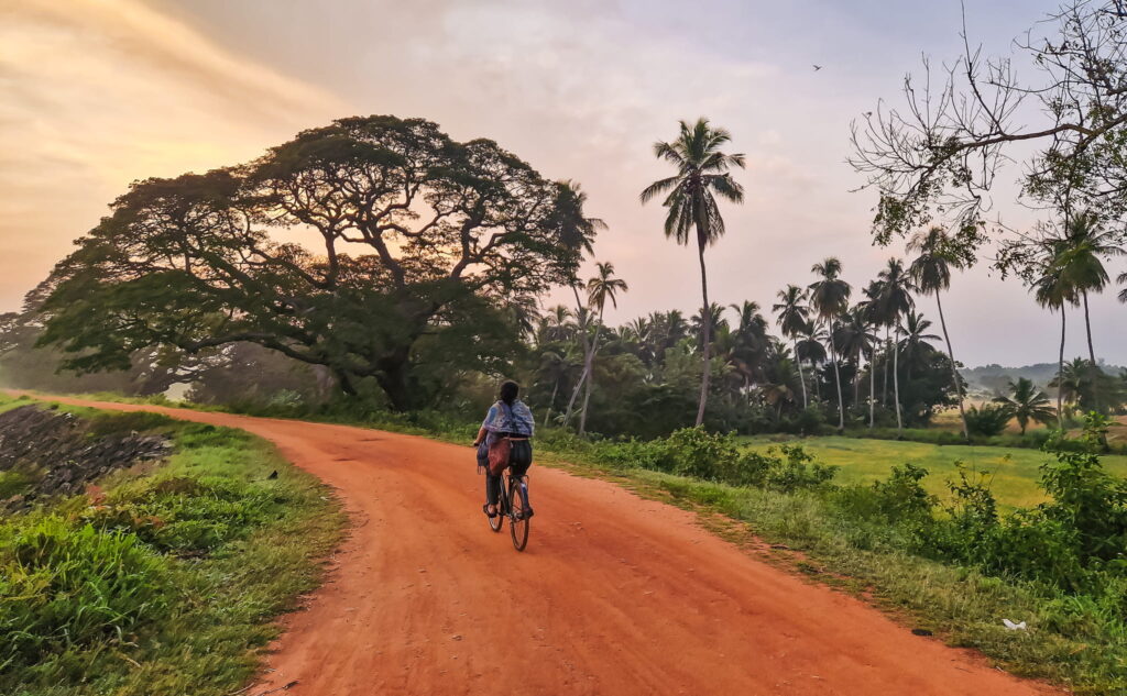 Cycling in Anuradhapura Ancient City