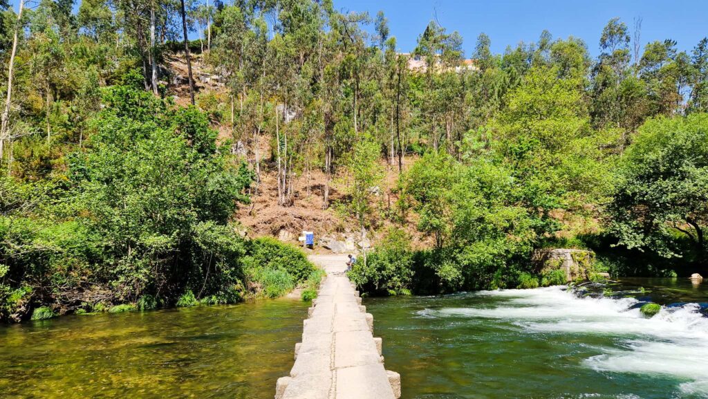 Camino Portugués Bridge Stone footbridge extending over a clear river, flanked by dense green trees on both banks, with a person walking mid-bridge on a sunny day