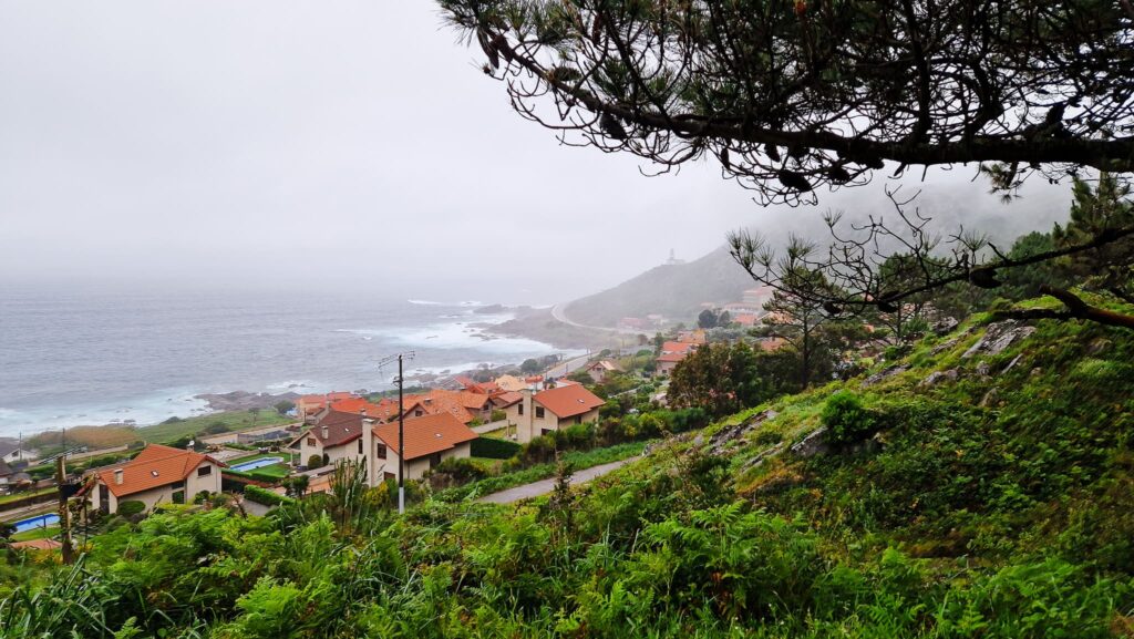Camino Portugués - Day 6 Coastal hillside town with red-roofed houses along the misty shoreline and green foreground plants.