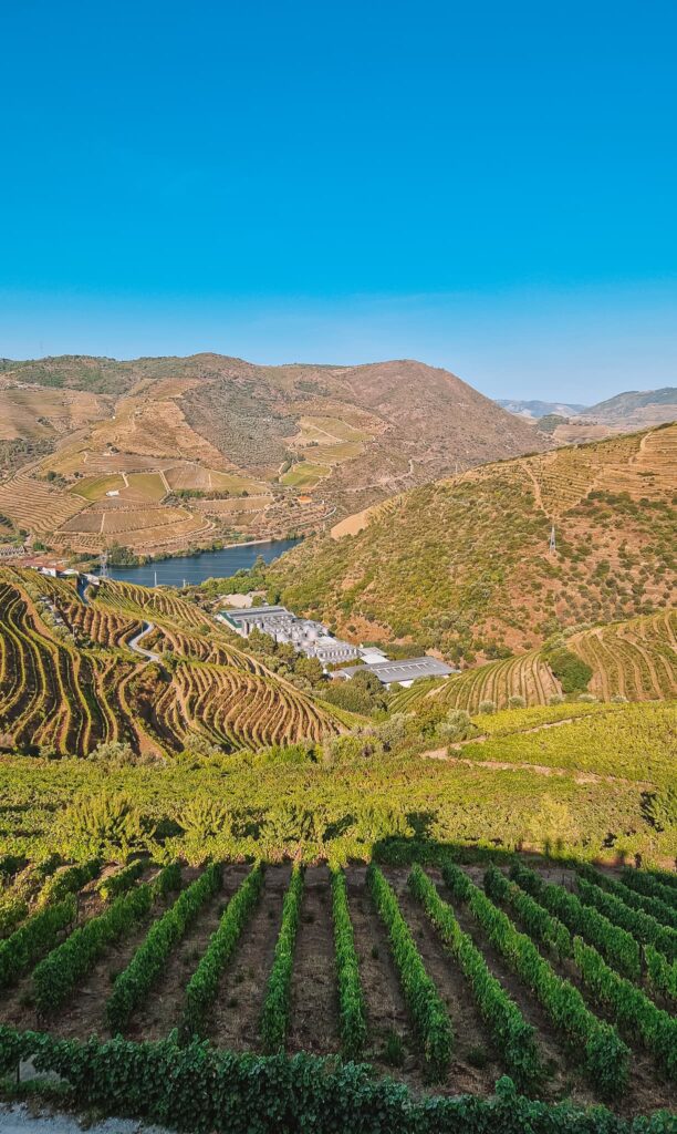 Douro Valley Portugal Terraced vineyards descend the hillside under a clear blue sky, with a lake in the valley and distant hills beyond. Portugal travel