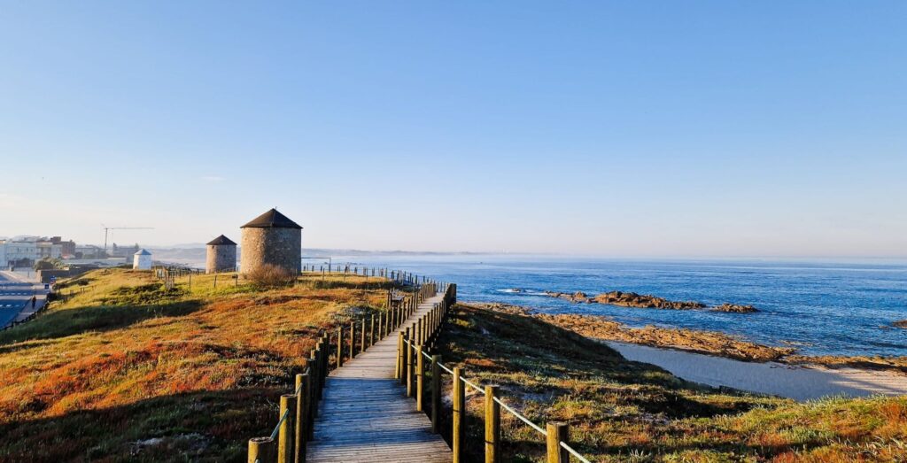 Wooden boardwalk leading to two round stone windmills on a grassy headland by the sea. Camino Portugués de la Costa