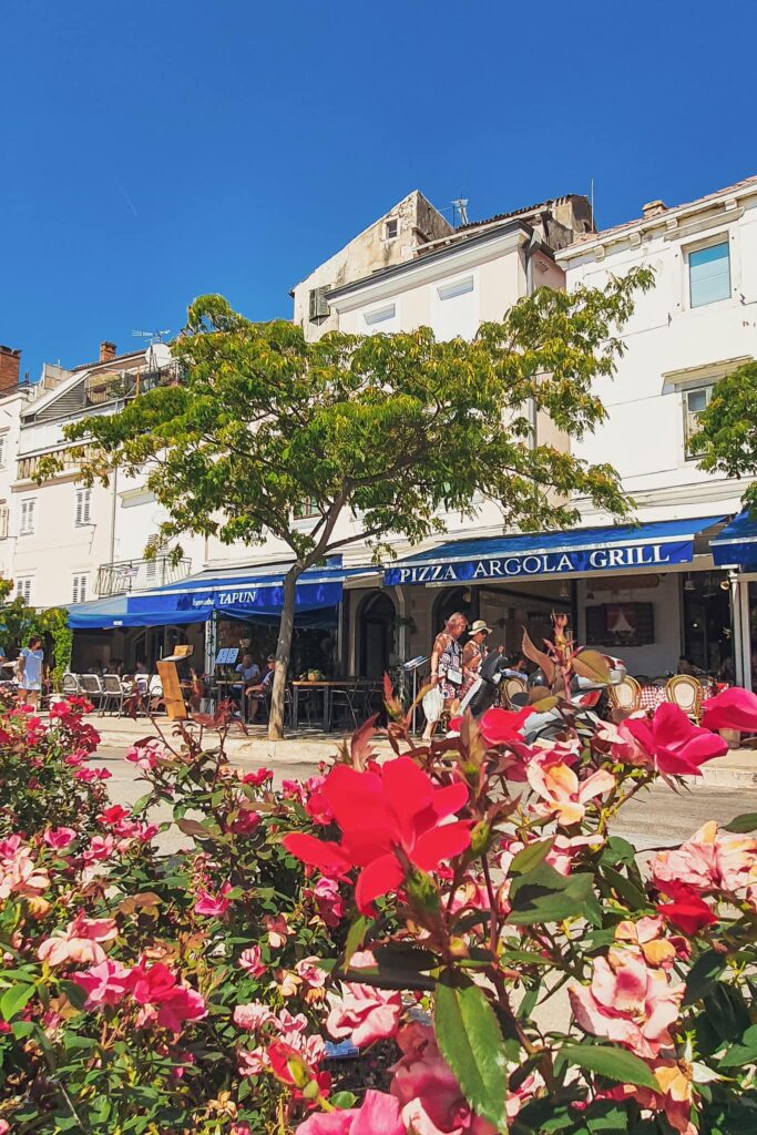 Šibenik promenade Outdoor cafe along a sunlit street with blue awnings, white buildings, a leafy tree, and pink flowers in the foreground.