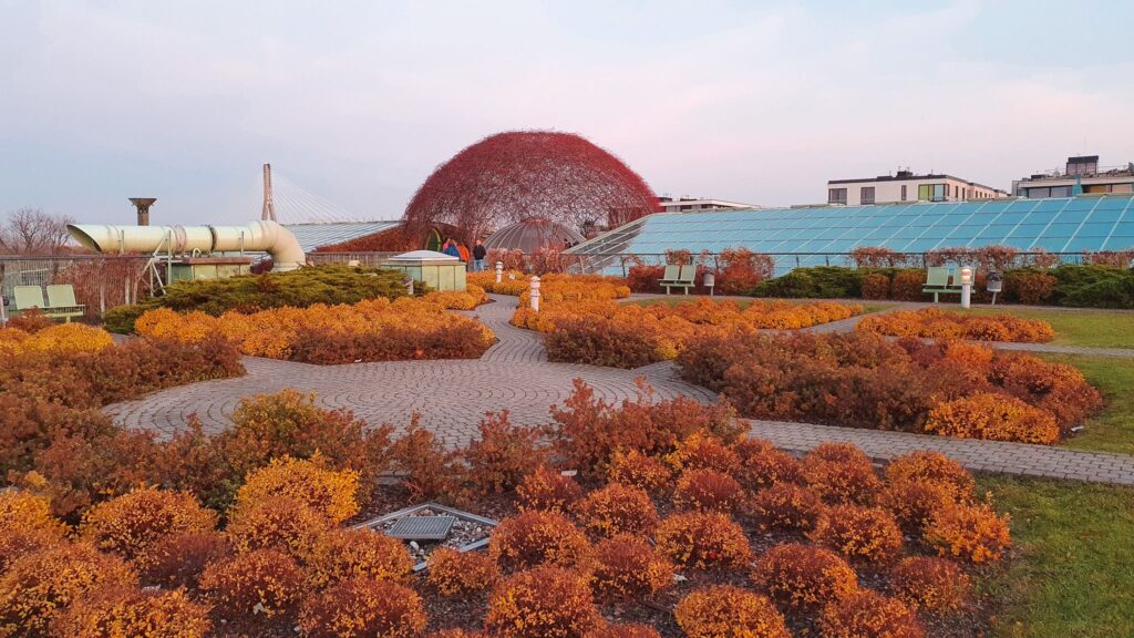Warsaw University Library Garden Fall colors at Warsaw University Library Garden, European cities to visit in autumn