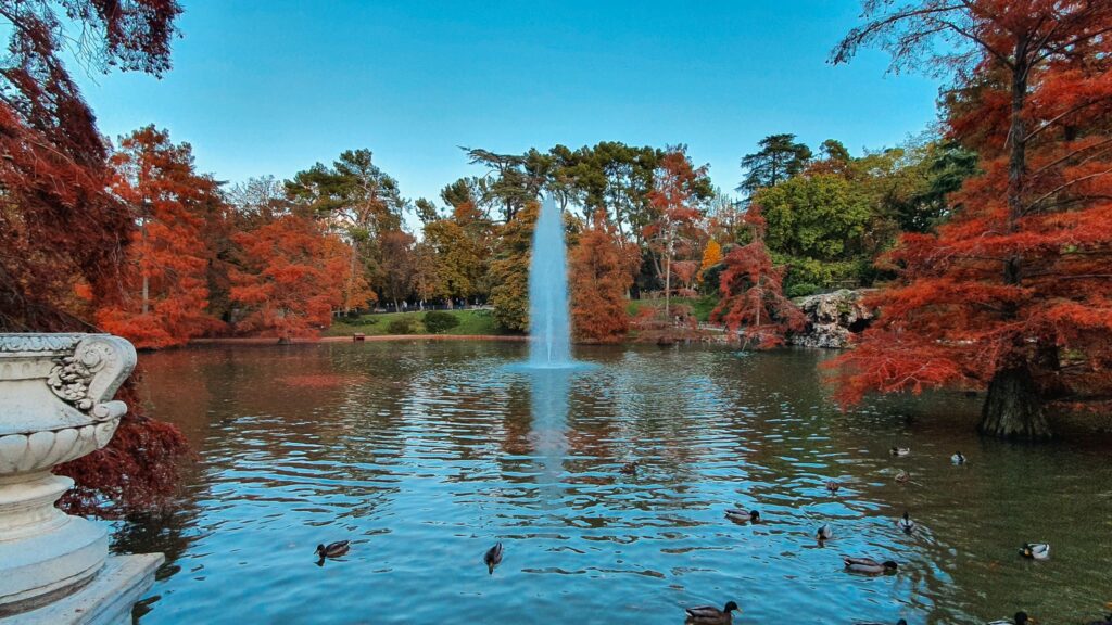 El Retiro Madrid El Retiro Park, Madrid in autumn