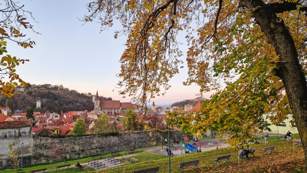 Brasov, yellow leaves A tree with yellow leaves in the foreground and Old Town Brasov in the background